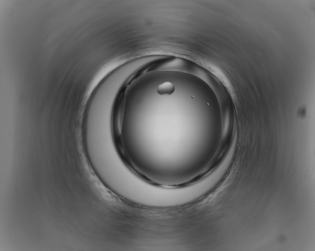 X0000091501138200708161453