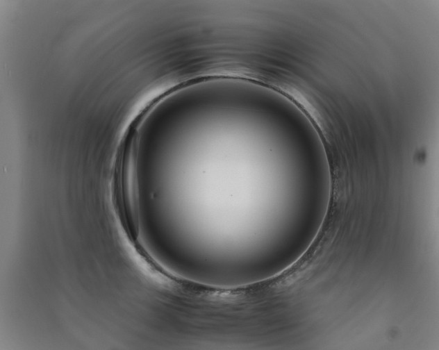 X0000091501139200708161453