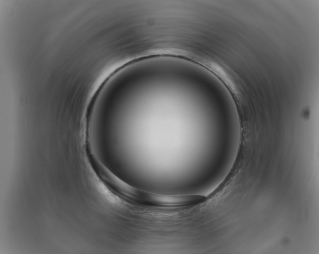 X0000091501140200708161453