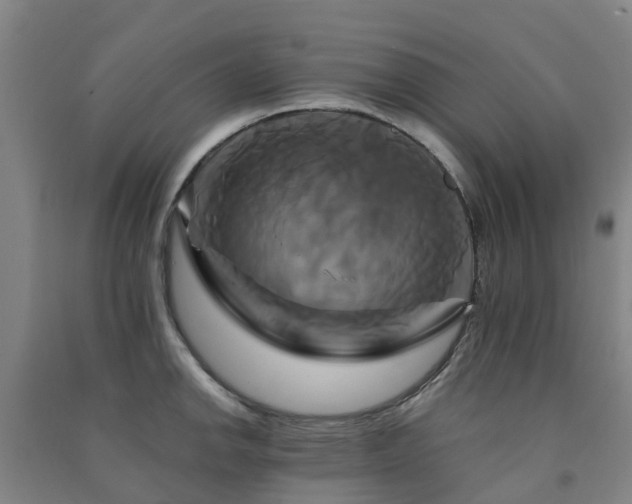 X0000091501142200708161453