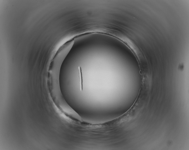 X0000091501143200708161453
