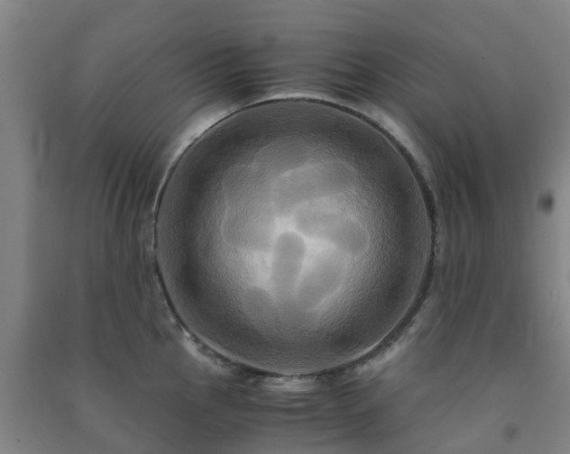 X0000091501145200708161453