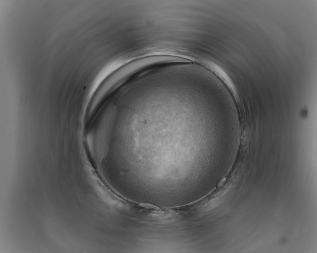 X0000091501146200708161453