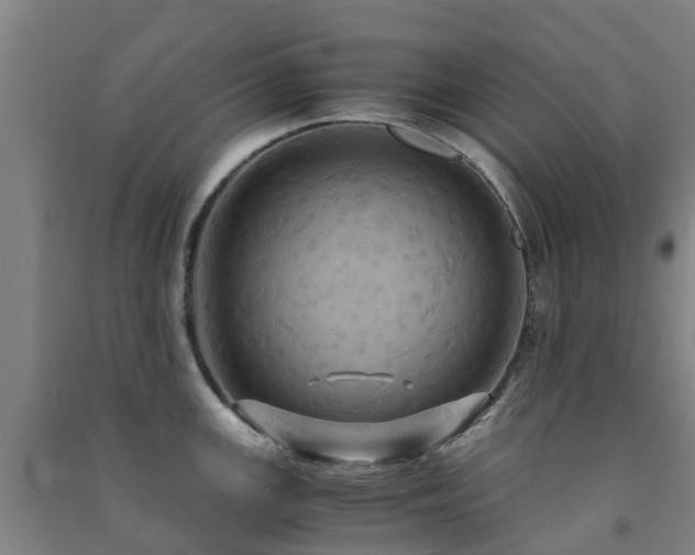X0000091501147200708161453