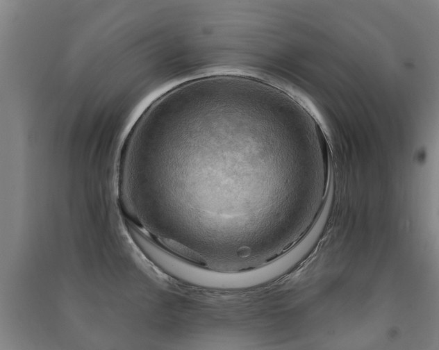 X0000091501148200708161453