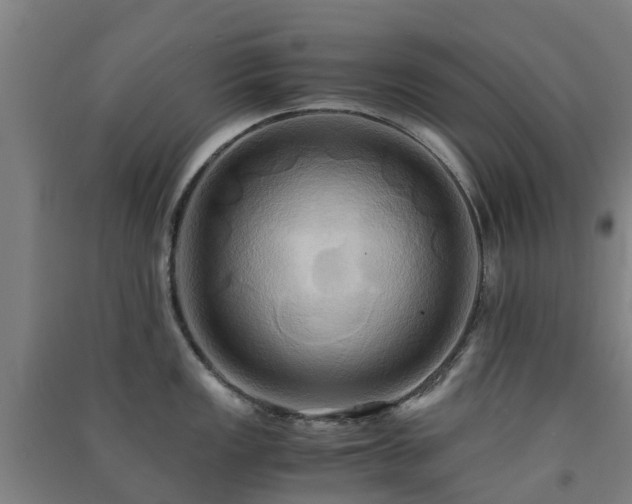 X0000091501149200708161453