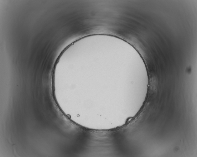 X0000091501150200708161453