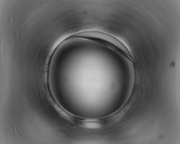 X0000091501151200708161453