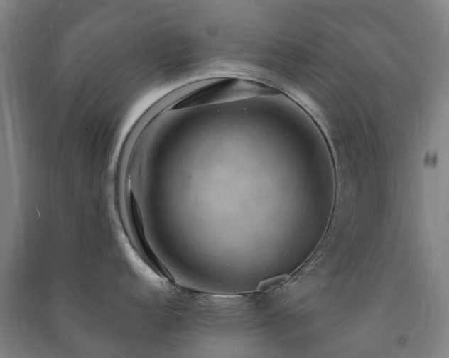 X0000091501152200708161453