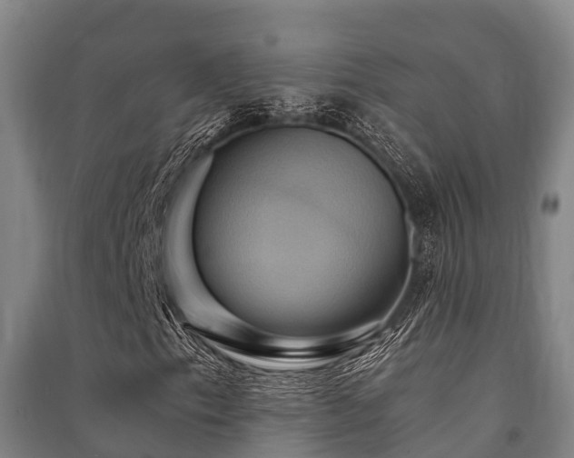 X0000091501153200708161453