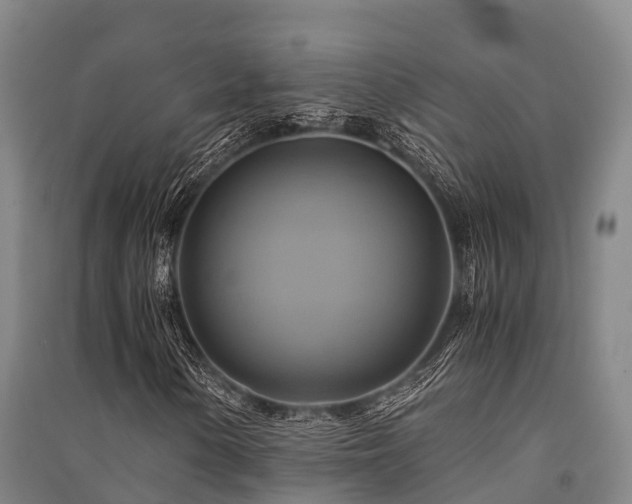 X0000091501154200708161453