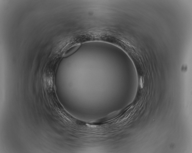 X0000091501155200708161453