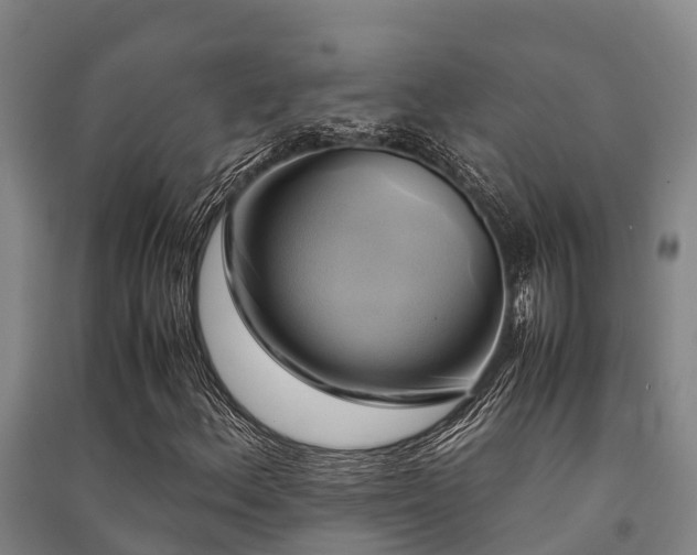 X0000091501156200708161453