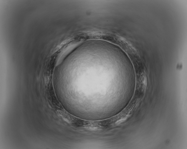 X0000091501157200708161453