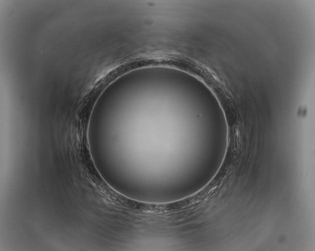 X0000091501158200708161453