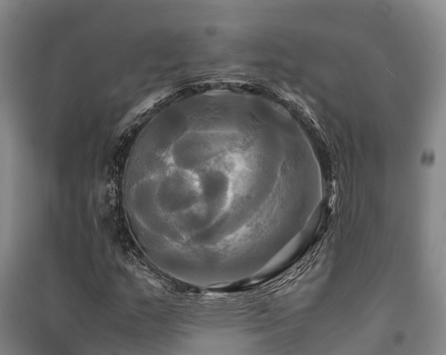 X0000091501159200708161453