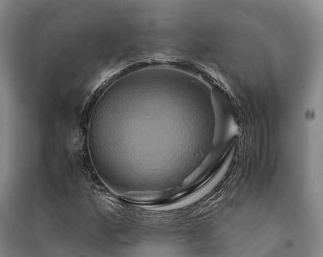X0000091501160200708161453