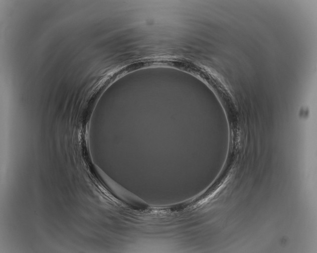 X0000091501161200708161453