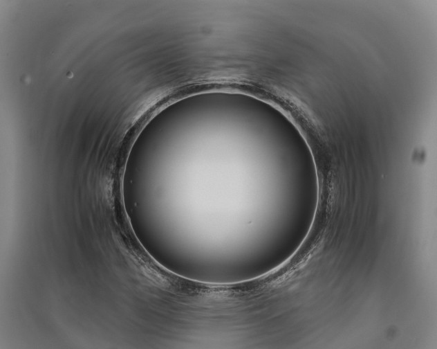 X0000091501162200708161452