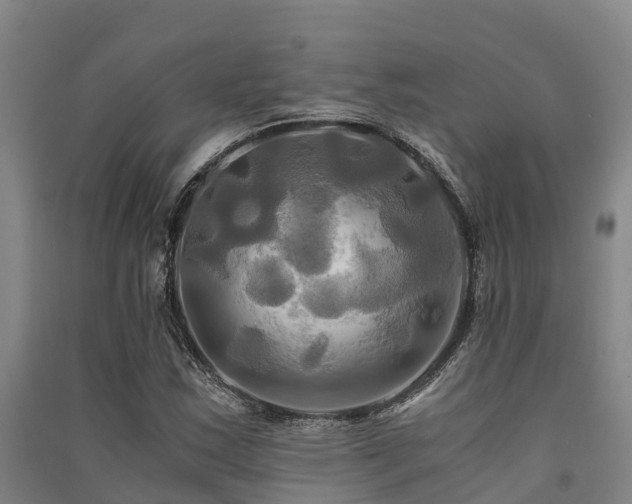 X0000091501163200708161452