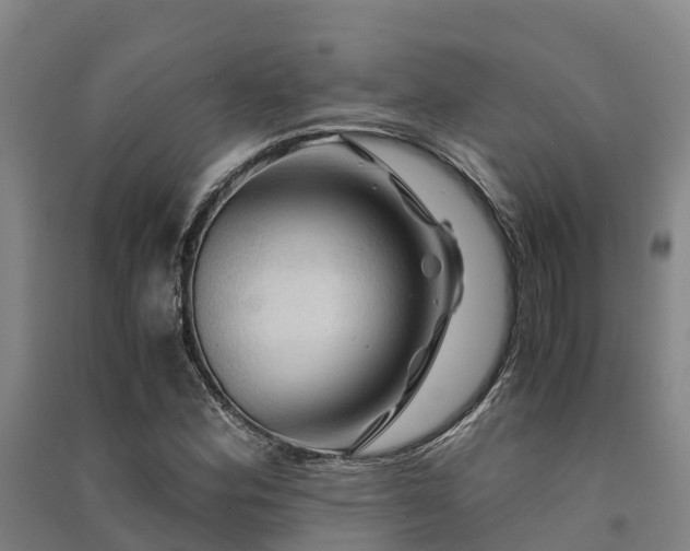 X0000091501164200708161452