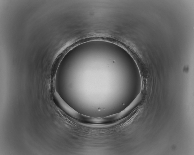 X0000091501165200708161452