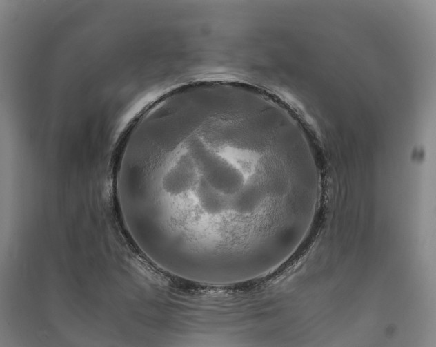 X0000091501167200708161452