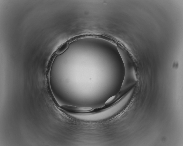 X0000091501168200708161452