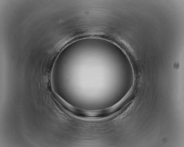 X0000091501169200708161452