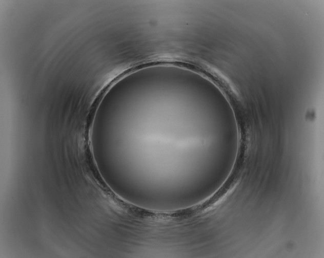 X0000091501170200708161452