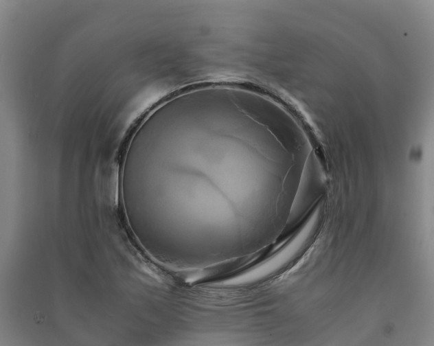 X0000091501171200708161452