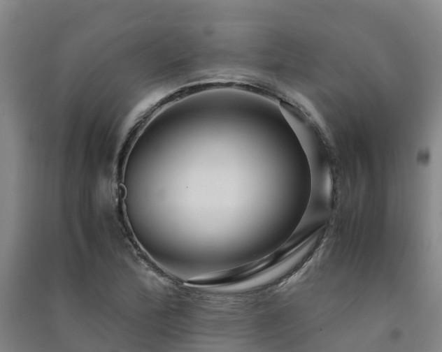 X0000091501172200708161452