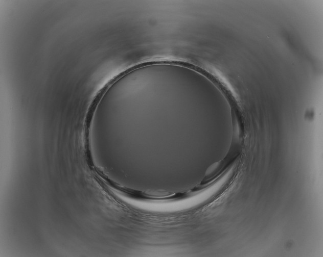 X0000091501173200708161452