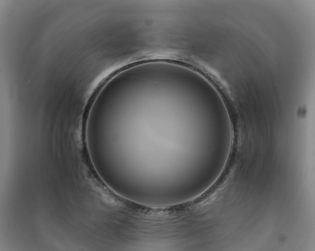 X0000091501174200708161452