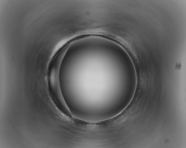 X0000091501176200708161452