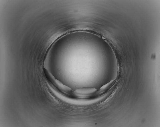 X0000091501177200708161452