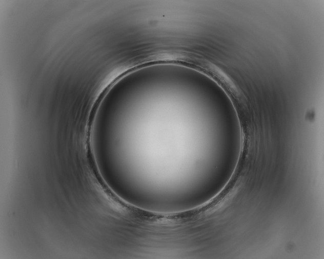 X0000091501178200708161452