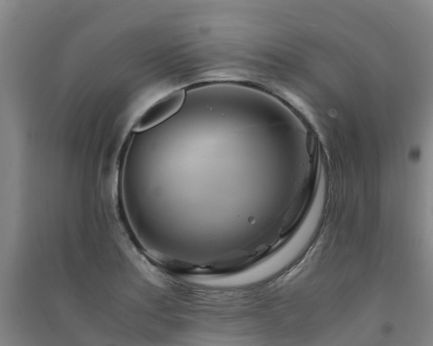 X0000091501179200708161452