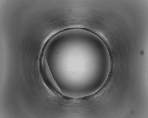 X0000091501181200708161452