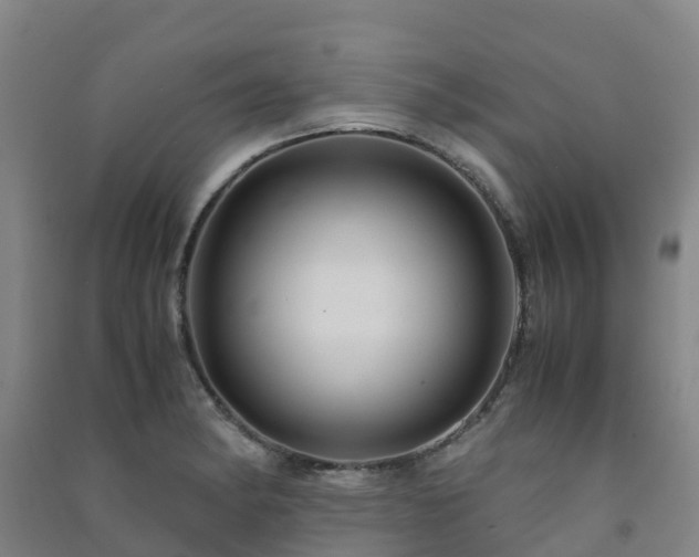 X0000091501182200708161452