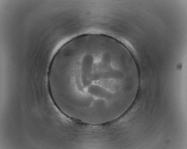 X0000091501183200708161452