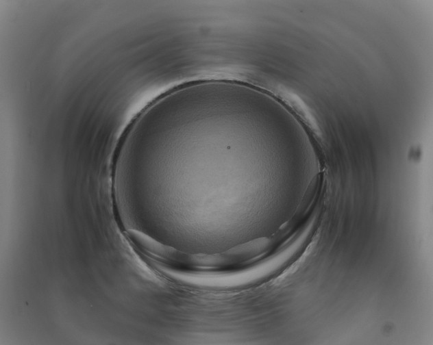 X0000091501184200708161452