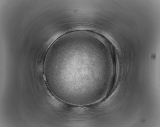 X0000091501185200708161452
