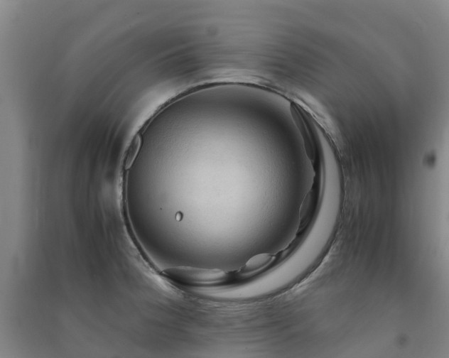 X0000091501188200708161452