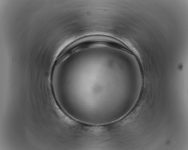 X0000091501189200708161452