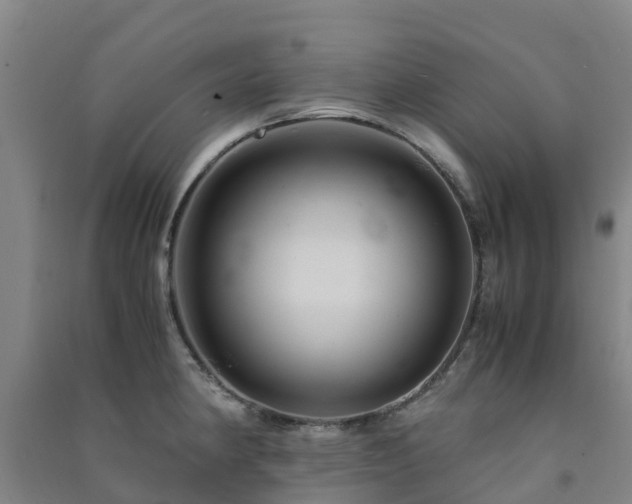 X0000091501190200708161452