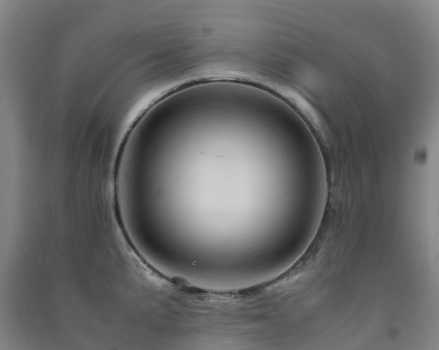 X0000091501191200708161452