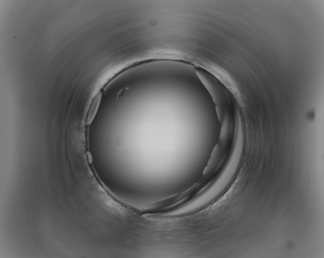 X0000091501192200708161452