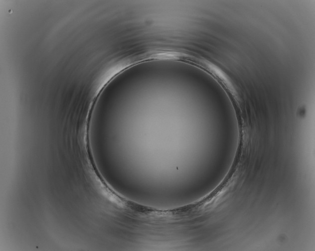 X0000091501194200708161452