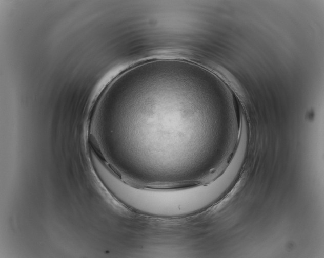 X0000091501196200708161452